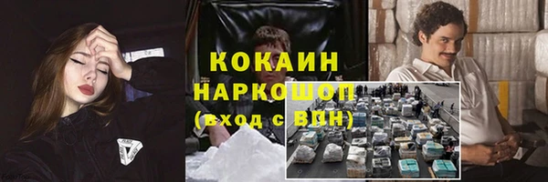 стафф Богородицк