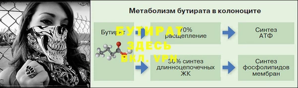 стаф Богданович